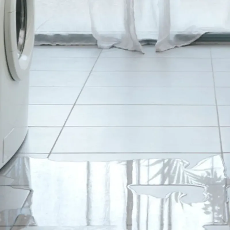 Appliance Leak Cleanup in Mount Vernon, IL