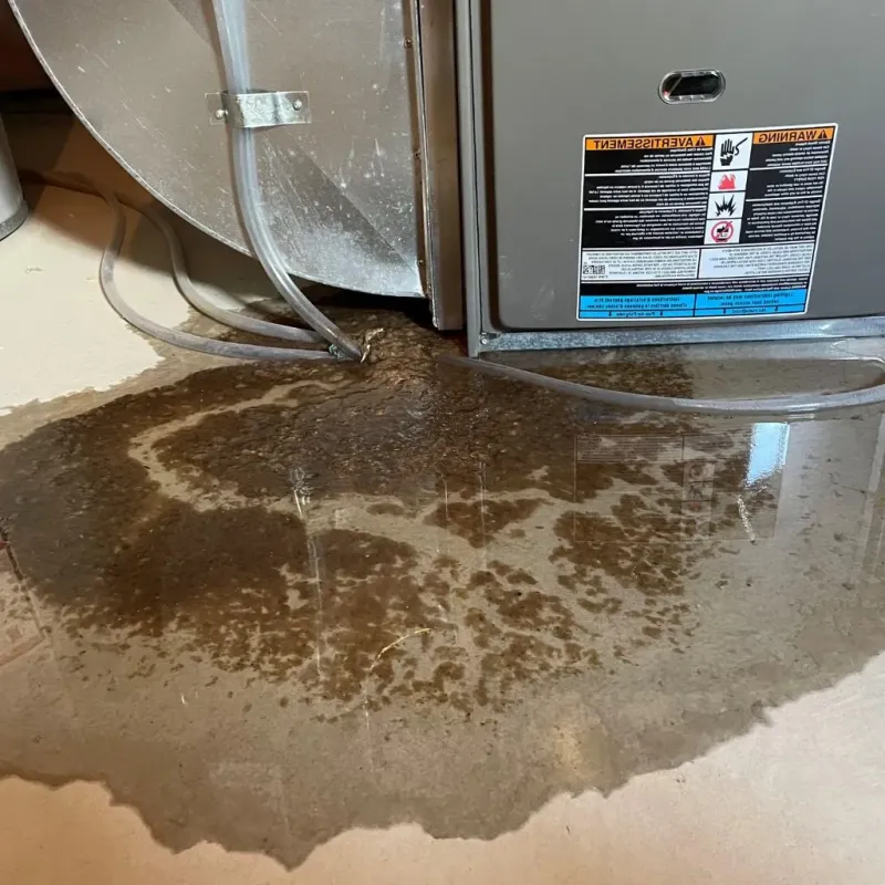Pipe Burst and Leak Restoration in Mount Vernon, IL