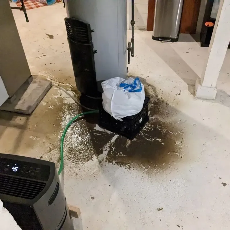 Sewage Backup Cleanup Service in Mount Vernon, IL